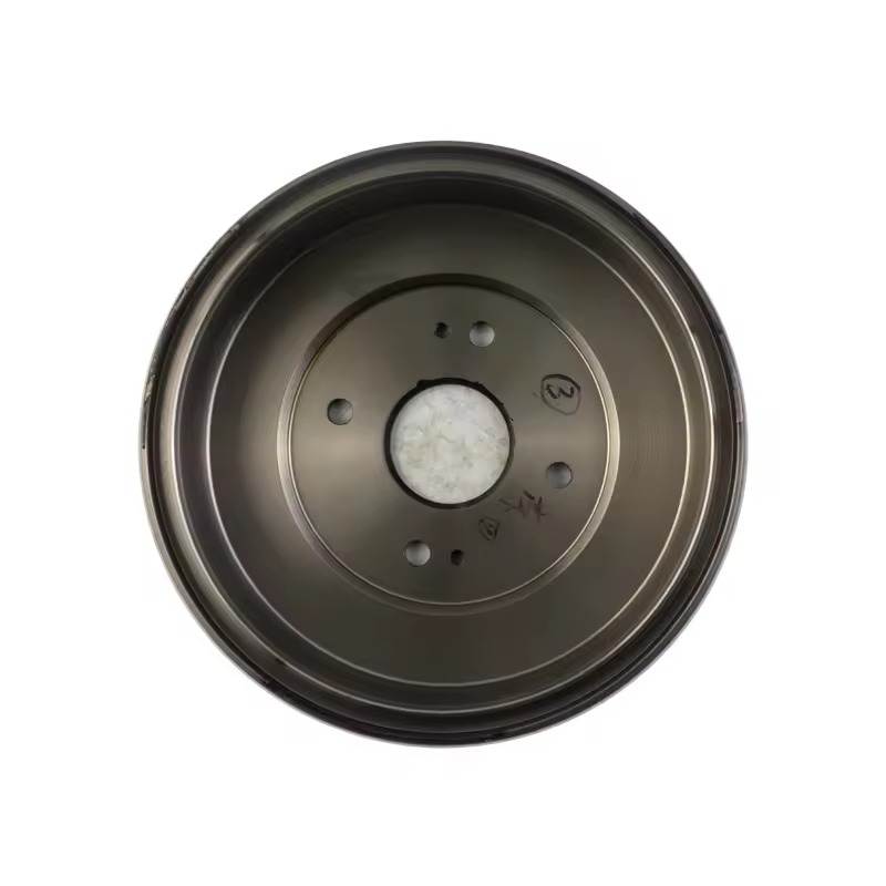 Rear Drum Brake Assembly for Wuling N300 / Chevrolet Move (WLXSY-RD001)